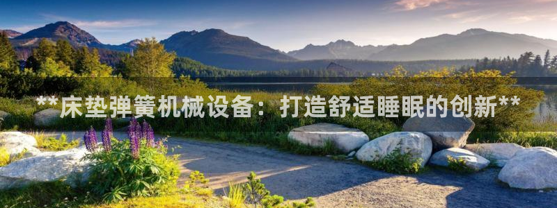 九游会平台王一博泰国
