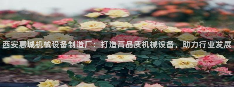 j9九游会黑网