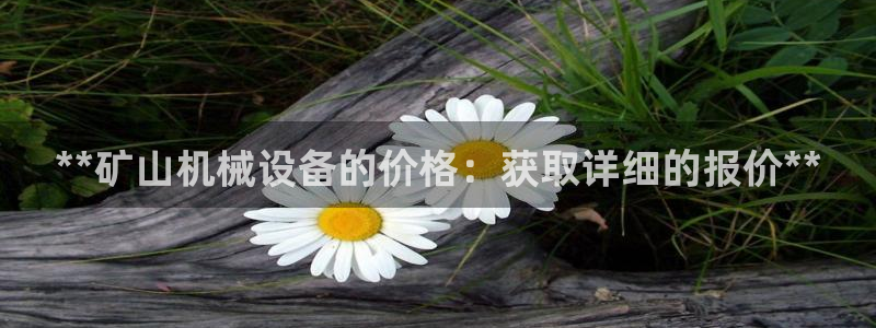 ag九游会