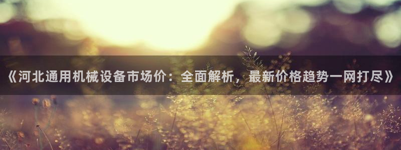九游会网址是什么