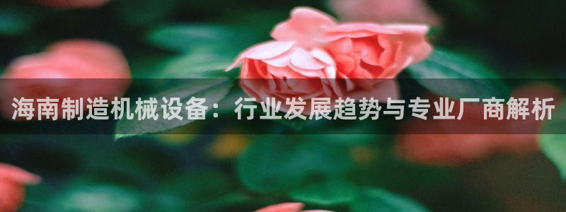 J9九游会网站