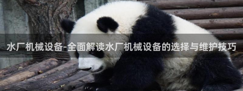 九游会可以提现吗