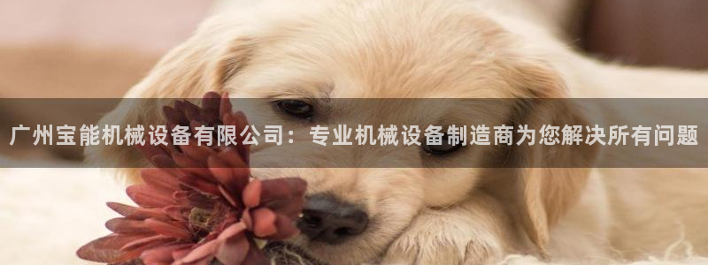9游会官方网站