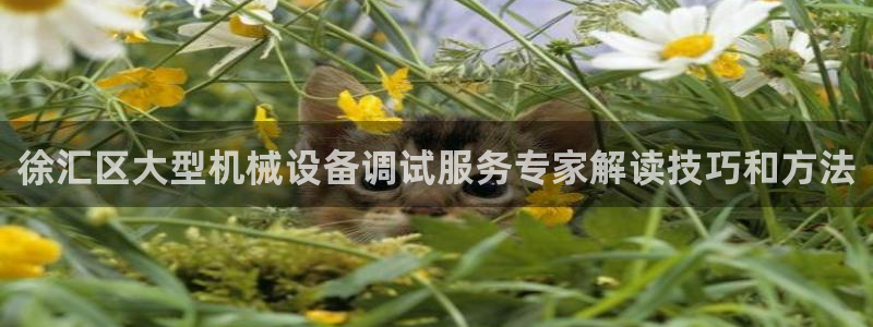 九游会是一个什么网站啊